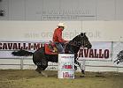 ARENA ROBERTO_LADY LEO MERADA